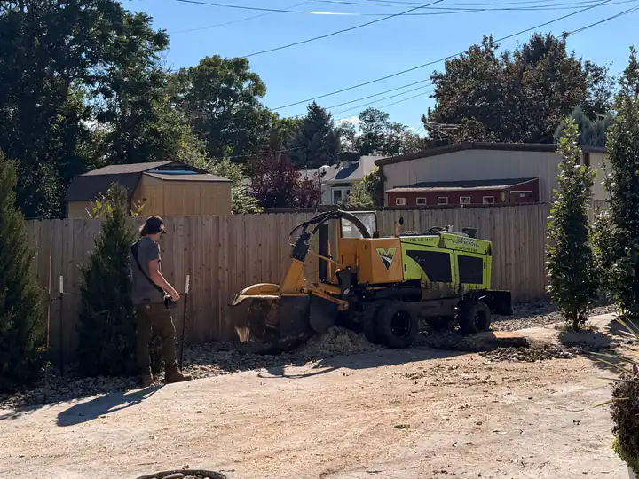 Stump grinding in Aurora, CO: stump grinder working a backyard stump along a fence