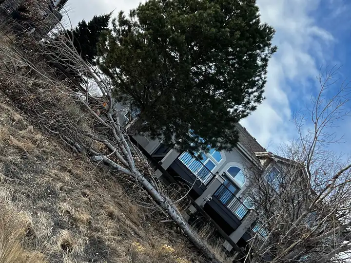 Storm damage cleanup in Castle Pines, CO: storm-damaged tree leaning near a house