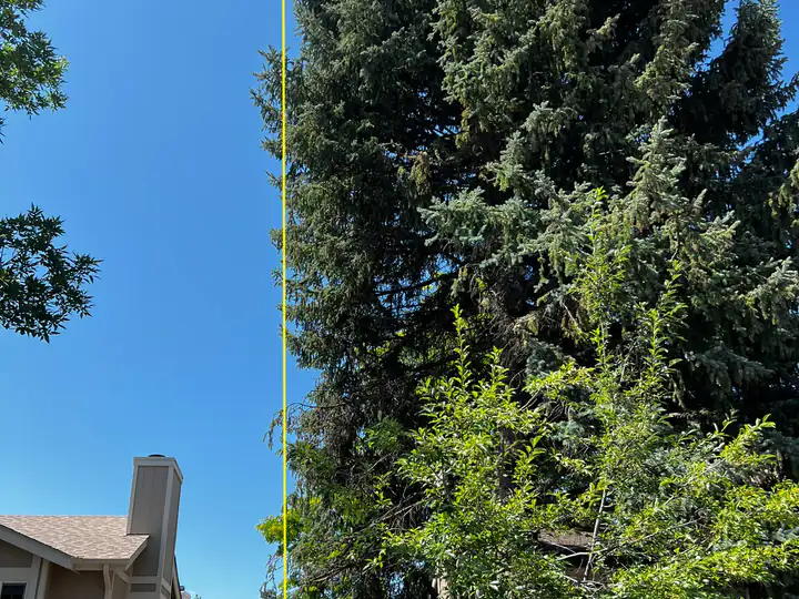 Wildfire mitigation in Castle Pines, CO: spruce crowding the side of a house