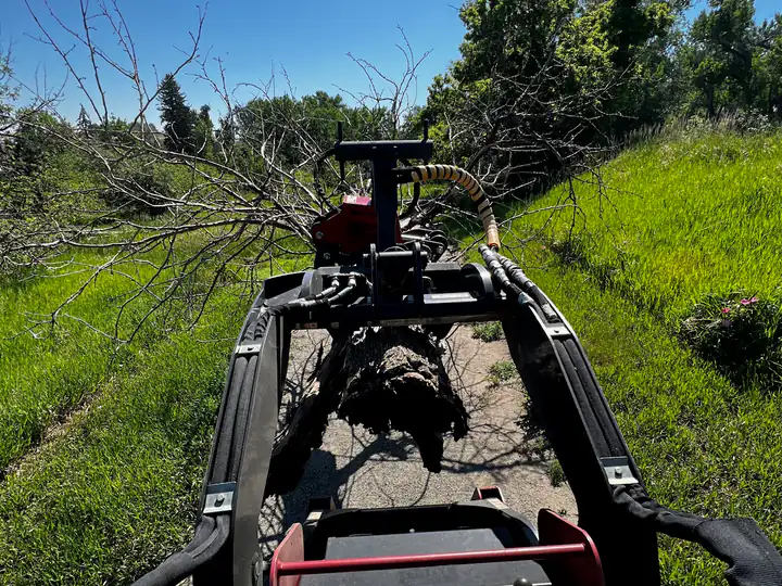 Land clearing in Castle Rock, CO: compact loader with a grapple hauling brush on a clearing job