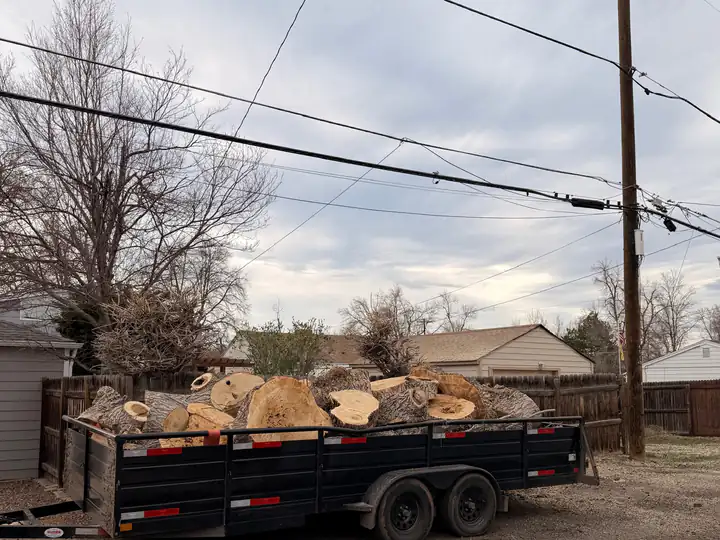 Land clearing in Centennial, CO: trailer full of logs from a clearing job