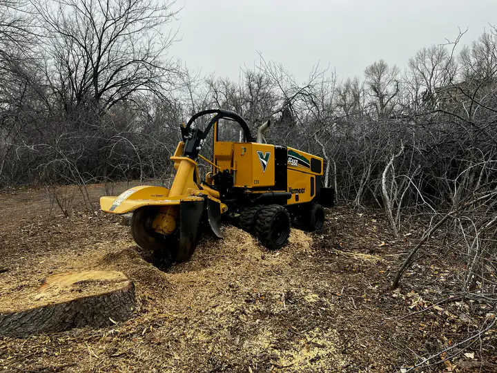 Stump grinding in Centennial, CO: stump grinder cutting stumps in a cleared scrub lot