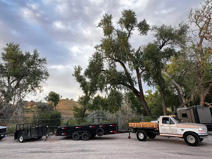Land clearing in Cherry Hills Village, CO: work truck and trailer hauling brush