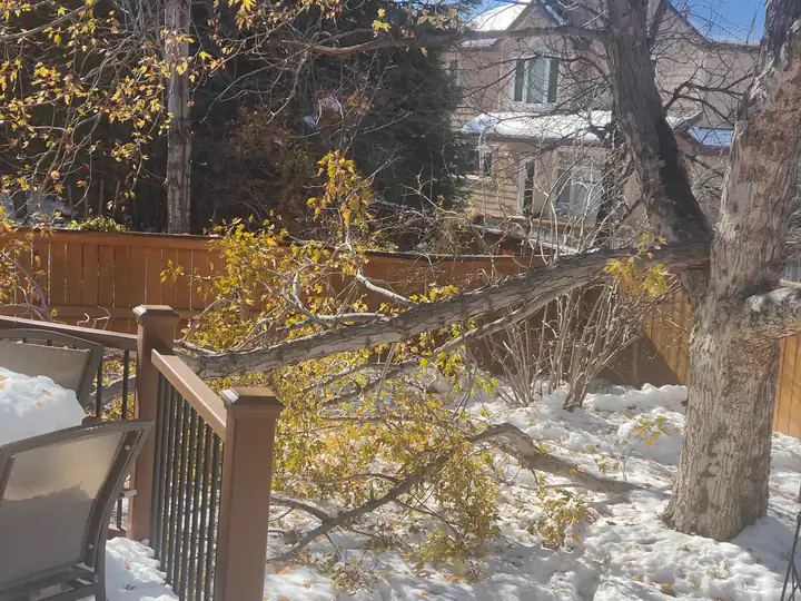 Storm damage cleanup in Columbine, CO: broken limb on a snowy deck