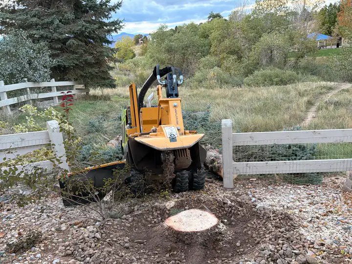 Stump grinding in Columbine, CO: stump grinder at a fresh stump beside a white fence