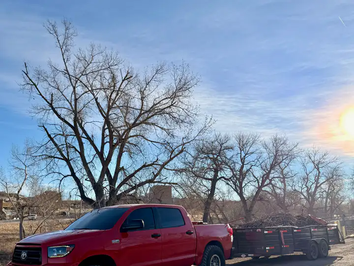Land clearing in Englewood, CO: pickup loaded with cut brush