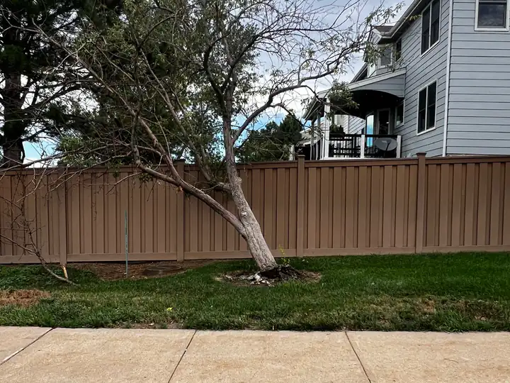 Storm damage cleanup in Indian Hills, CO: leaning tree against a fence after a storm