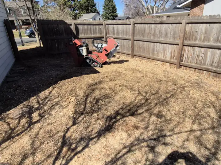 Stump grinding in Ken Caryl, CO: backyard stump grinding along a fence