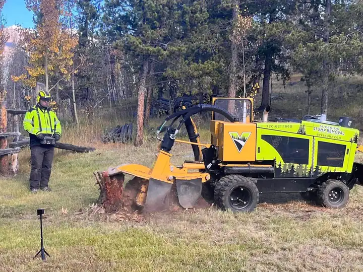 Stump grinding in Kittredge, CO: stump grinder working a stump in a meadow ringed by pines