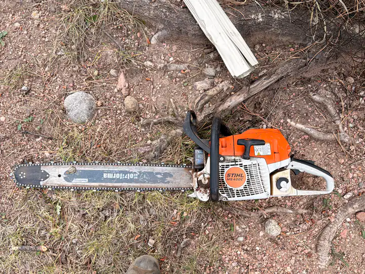 Tree removal in Kittredge, CO: chainsaw on the ground next to cut branches