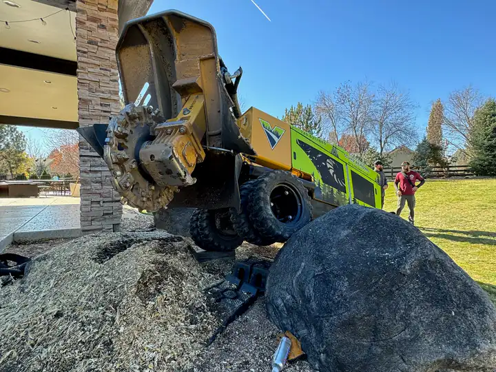 Stump grinding in Lakewood, CO: stump grinder working a stump beside a patio