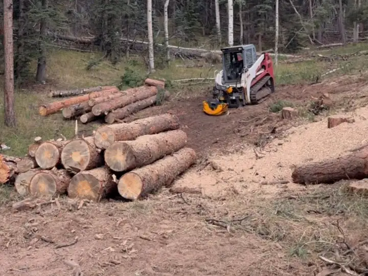 Land clearing in Larkspur, CO: skid steer working a beetle-kill log landing