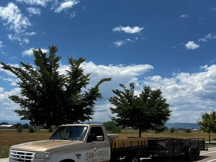 Land clearing in Lone Tree, CO: work truck and trailer hauling brush