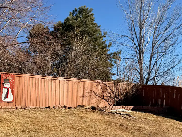 Land clearing in Morrison, CO: cleared slope after removal work