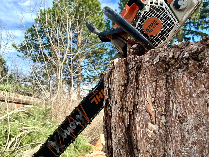 Tree removal in Parker, CO: chainsaw on a cut log after a removal