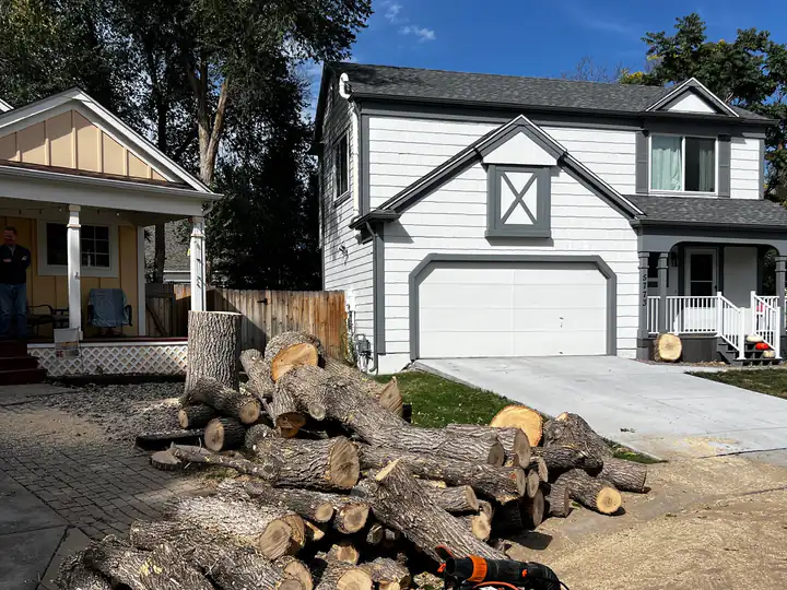 Tree removal in Sedalia, CO: cut log rounds stacked in a driveway after a removal
