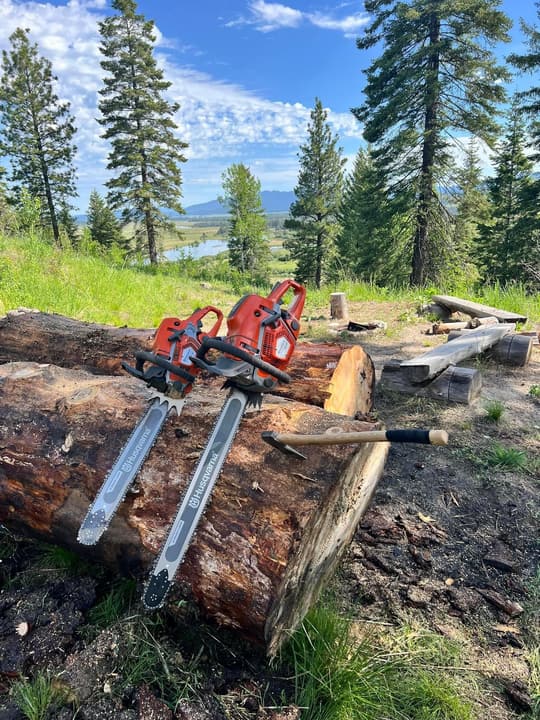Foothills tree removal: two chainsaws resting on a cut pine log with the mountains behind