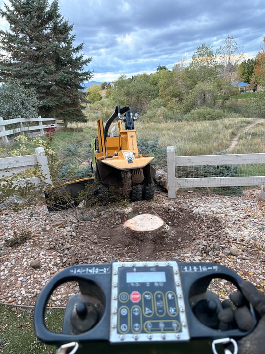 Stump grinding service: remote control in the foreground with the grinder at a fresh stump