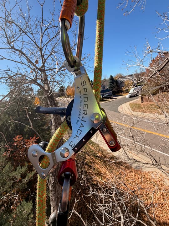 Arborist's climbing device and rope tied in high in a tree in Highlands Ranch, CO