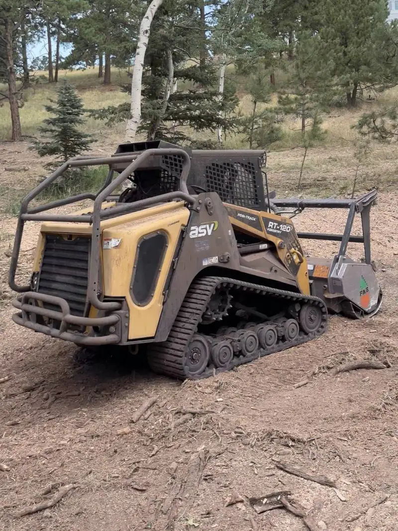 Land and lot clearing in the south Denver metro: skid steer with a forestry mulcher on a Pikes Peak clearing project
