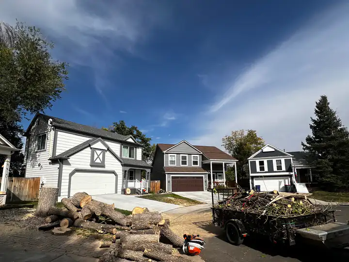 Tree removal: log rounds and a chainsaw in a driveway after a removal
