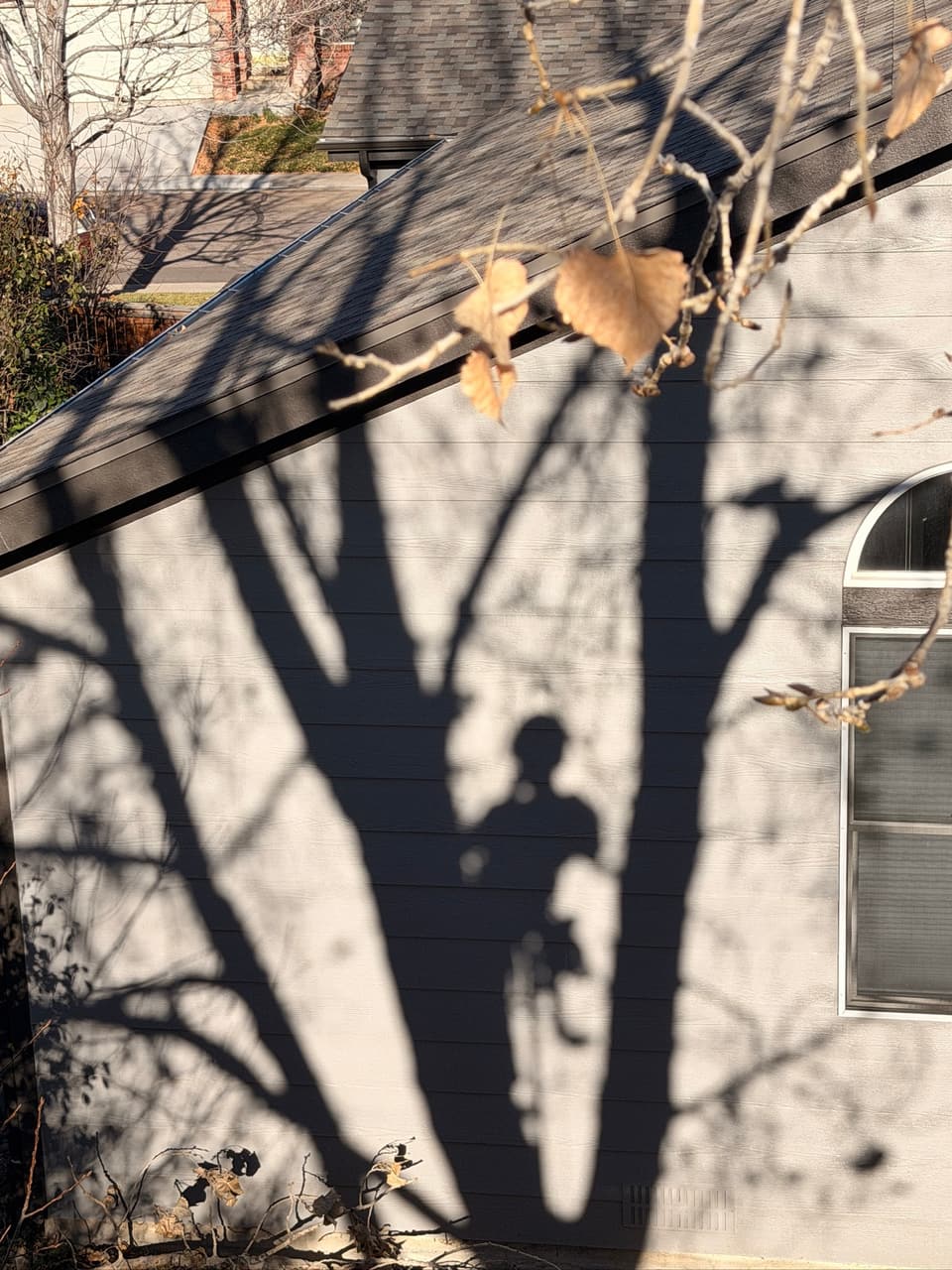 Tree trimming in Lone Tree, CO: shadow of a climbing arborist cast across the side of a house