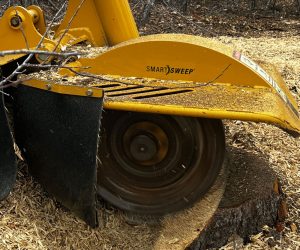 tree removal Highlands Ranch, tree pruning Denver, stump grinding services, certified arborist CO